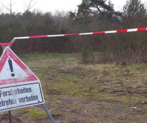 Rodungsarbeiten zum Feuerwehrhausneubau begonnen…